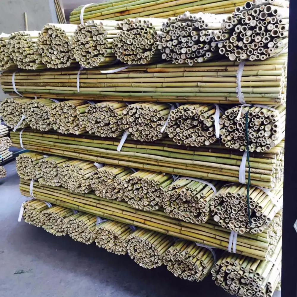 good quality raw bamboo poles