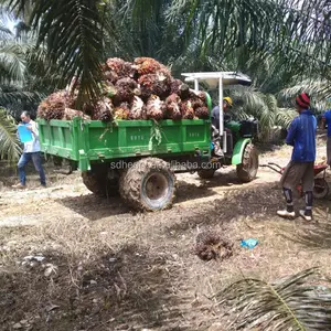 palm oil tractor