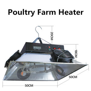 Chauffe-22 automatique pour poulet, vente, de haute qualité - Product Image 3