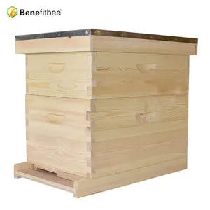 Chinese Wholesale Beekeeping Equipment Bee Keeping Wooden Bee Hives With 10 8 Wood Bee Frames For Sale