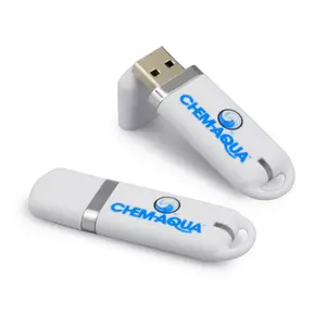 Stik Usb Promosi Kustom Massal 8Gb Usb Kunci Plastik Termurah Usb 2.0 Flash 4GB 8Gb 16GB 32GB Kecepatan Tinggi 2.0 Bentuk Kustom