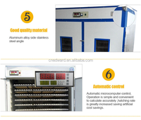 Vente directe d'usine, grande couveuse commerciale à vendre, prix bas, contrôleur, couveuse à poussins Master Incubator Xm-18 HHD