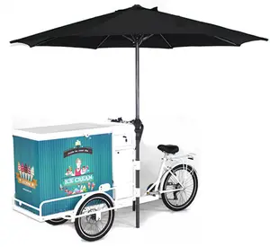 200L Fridge Human Power Ice Cream Tricycle Mobile Ice Cream Bike