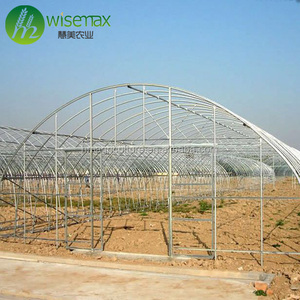 Giá Rẻ Đường Hầm Cao Duy Nhất Tuổi Thọ Prefab Thương Mại Nhà Kính Cấu Trúc - Product Image 2