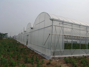 Skyplant hoàn thành cấu trúc nhà kính đa nhịp | Thương mại PE phim Bìa & Bộ xương thép cho cuộc sống lâu dài và dễ dàng lắp ráp - Product Image 5