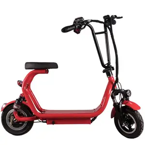 48V 8AH Lithium Battery 350W Pocket Citycoco Electric Scooter