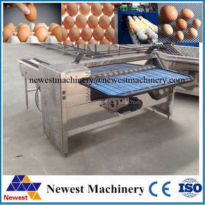 工場価格 卵選別機/卵重量選別機/卵サイズ選別機 - Product Image 6