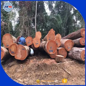 2018 nuevo 30-50 diámetro redondo de madera registros Angola rosewood buen precio