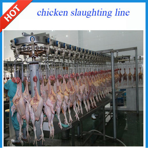 Equipos de procesamiento de aves de corral de sacrificio Para El matadero de <span class=keywords><strong>pollos</strong></span> - Product Image 2