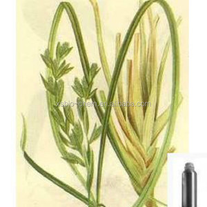 GMP alta calidad ACEITE <span class=keywords><strong>DE</strong></span> citronela <span class=keywords><strong>repelente</strong></span> <span class=keywords><strong>de</strong></span> <span class=keywords><strong>insectos</strong></span> - Product Image 2