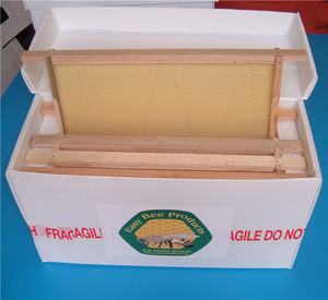 กล่องเลี้ยงผึ้งพลาสติกแบบ Corex Nucleus สำหรับการเลี้ยงผึ้ง - Product Image 2