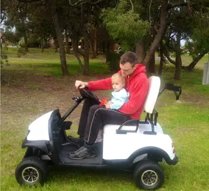 2019 çin üretimi mini golf arabası 2 koltuklu küçük golf arabası elektrikli 2000w