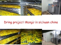 Mango/Aardbei/Tomaat/Fruitdroogmachine/Groente-dehydrator/Lage energieverbruik/Volledig automatisch/304 roestvrij staal