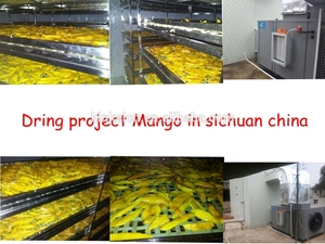 Xoài/Dứa/Cà Chua/Máy Sấy Trái Cây/Rau Dehydrator/Tiêu Thụ Điện Năng Thấp/Hoàn Toàn Tự Động - Product Image 2