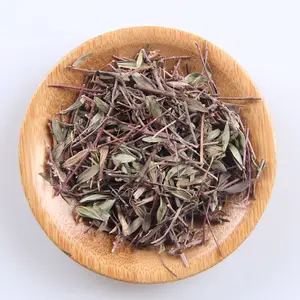 Wholesale Health Herbal Dried Thyme