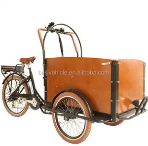 3 tekerlekli aile elektrikli üç tekerlekli bisiklet kargo römork fiyat çin'de satılık