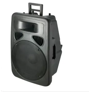 Draagbare Outdoor Plastic Dj Sound Box Met Usb, Sd-kaart, Fm Radio