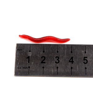 YOUME-señuelo suave de gusanos rojos, gusanos de tierra, 4cm, 500g, gusanos de pesca, trucha, señuelo de pesca Artificial, 0,19g por paquete - Product Image 4