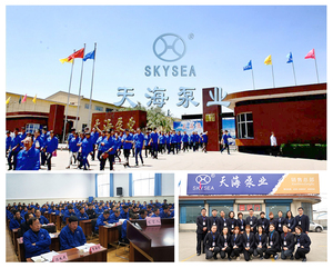 उच्च दबाव कृषि सिंचाई गहरी अच्छी तरह से एसी बिजली सबमर्सिबल पानी सौर बोरो पंप - Product Image 5