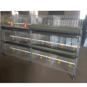 SSDราคาถูกและมีคุณภาพสูงเด็กลูกไก่กรงไก่ - Product Image 5