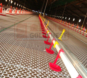 Système d'abreuvement automatique Goldenest pour volailles, abreuvoirs à tétine pour poulets - Product Image 4