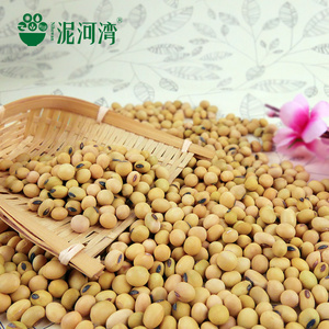 2024 Colheita Chinesa <span class=keywords><strong>De</strong></span> Soja <span class=keywords><strong>De</strong></span> Alta Proteína en grano Amarelo Feijão <span class=keywords><strong>De</strong></span> Soja/Feijão <span class=keywords><strong>De</strong></span> Soja Para Venda