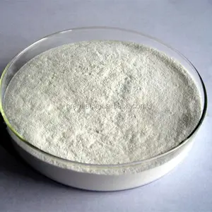 Detergent grade Sodium Carboxyl Methyl Cellulose SCMC Powder