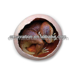 Đồ Chơi Hóa Thạch Trứng Khủng Long Khai Quật Khảo Cổ Học 3D Bằng Nhựa Thông Minh Bán Chạy Quà Tặng Sinh Nhật Cho Bé Trai 6 Tuổi - Product Image 4