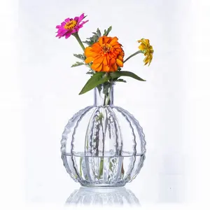 独特的球仙人掌形玻璃花瓶桌面玻璃花瓶插花花器家居装饰卧室装饰