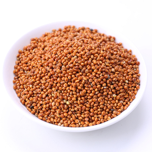 New crop red /white /yellow glutinous broomcorn foxtail millet for bird seed