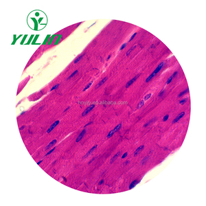 100 types de lames préparées d'anatomie et d'histologie humaine - Product Image 6