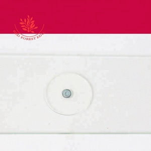 Tige de Tilia Section transversale Image de microscope typique Tige de Xylophyta Dicotylédone Lames de microscope préparées - Product Image 4