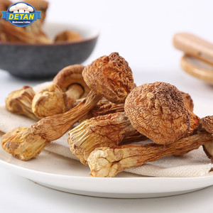 Detan seco <span class=keywords><strong>seta</strong></span> <span class=keywords><strong>Agaricus</strong></span> blazei exportación - Product Image 1