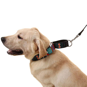 Comodidad <span class=keywords><strong>Premium</strong></span> clásico Collar collares para mascotas perro Collar de entrenamiento pesado ajustable para perros grandes - Product Image 5
