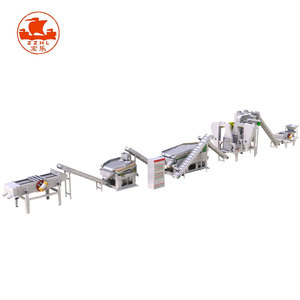 Machine de lavage complète de raisin secs, entièrement personnalisée, ligne de Production pour graines de raisin - Product Image 2