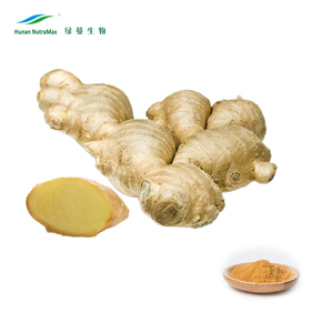 Bán số lượng lớn ngay lập tức gừng powder extract gingerols 1% với tốt độ hòa tan - Product Image 4