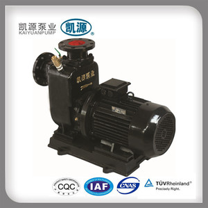<span class=keywords><strong>Bomba</strong></span> de agua superficie <span class=keywords><strong>autoaspirante</strong></span> - Product Image 2