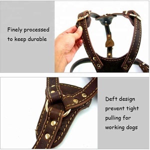 Harnais de chiens en cuir véritable, grande taille, de bonne qualité - Product Image 4