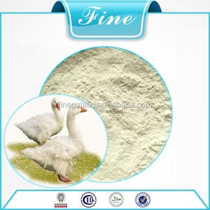 Alto animales frescos proteína ósea polvo para alimentación pato - Product Image 2
