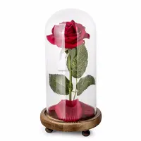 Red Glass Glass Glass Flowers Red Rose In A Glass Dome On A Wooden Base LED Series Immortal Flowers Glass Dome Cover