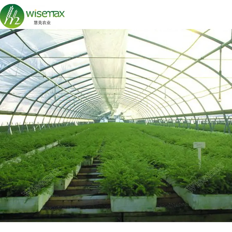 Wisemax high quality plastic film commercial hydroponics greenhouse