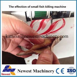 <span class=keywords><strong>Precio</strong></span> bajo sardina agallas máquina <span class=keywords><strong>de</strong></span> limpieza/peces pequeños despojos máquina <span class=keywords><strong>de</strong></span> eliminación <span class=keywords><strong>de</strong></span>/herramientas y equipo <span class=keywords><strong>de</strong></span> procesamiento <span class=keywords><strong>de</strong></span> pescado - Product Image 5