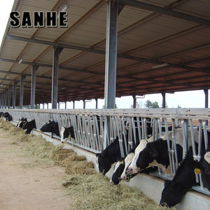 Capannone in Struttura d'Acciaio per Allevamento di Bovini da Latte - Product Image 6