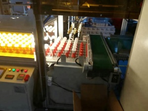 Dây Đèn Led Lão Hóa Hoàn Toàn Tự Động Mẫu Mới - Product Image 3