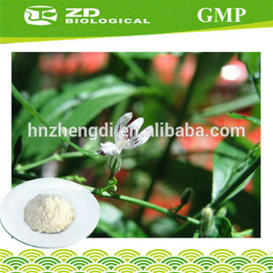 complément alimentaire à base de plantes <span class=keywords><strong>andrographis</strong></span> <span class=keywords><strong>paniculata</strong></span> extrait - Product Image 1
