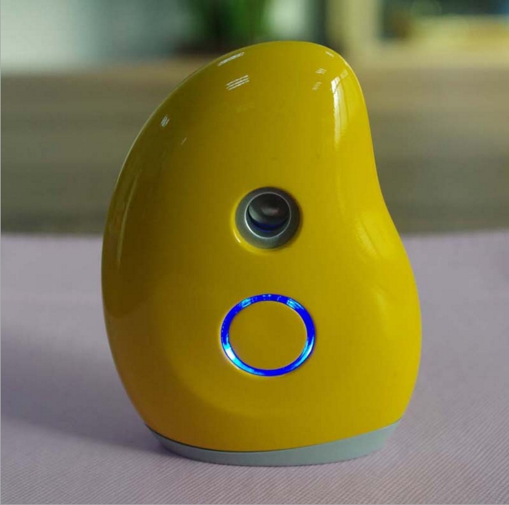 Nano Мистер Спа Лица Пароход Handy Портативный Мини Уход За Кожей Лица Спрей Пара Индивидуальны