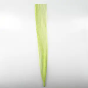 100% New Cornstarch Material Plastic Bag Net Packing Garlic Mesh Bag For Potato Onions Apple Banana DB-1-07 fruit and vegetable