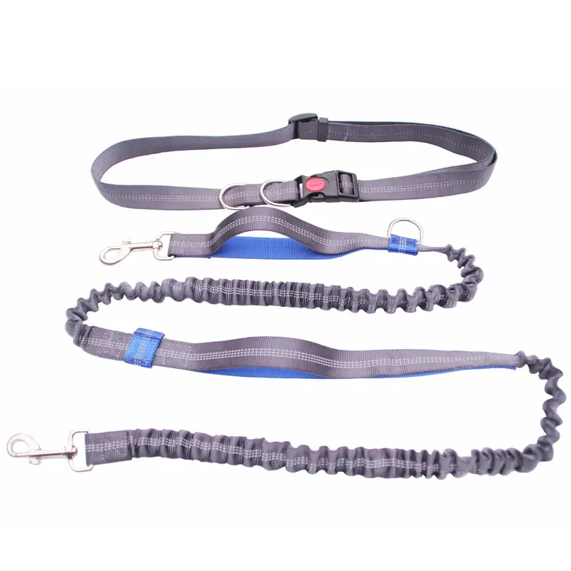 Corde de Traction élastique pour chien, Double bande, mains-libres, accessoires pour animaux domestiques, course à pied, jouet