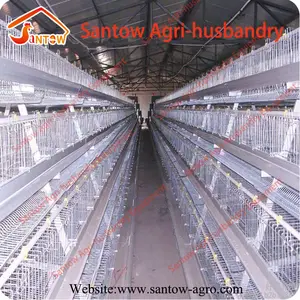 Poultry shed construction broiler poultry farm shed design design layer chicken cages