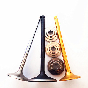 Pièces de moteur de voiture de course à piston Trw Valve pour Citroën Saxo VTS <span class=keywords><strong>TU5J4</strong></span> Nfx Pièces Vtr Mk1 Mk2 1. 6 8v 16v OEM en 094883 EX 094989 - Product Image 3